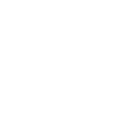 The Narrow Group
